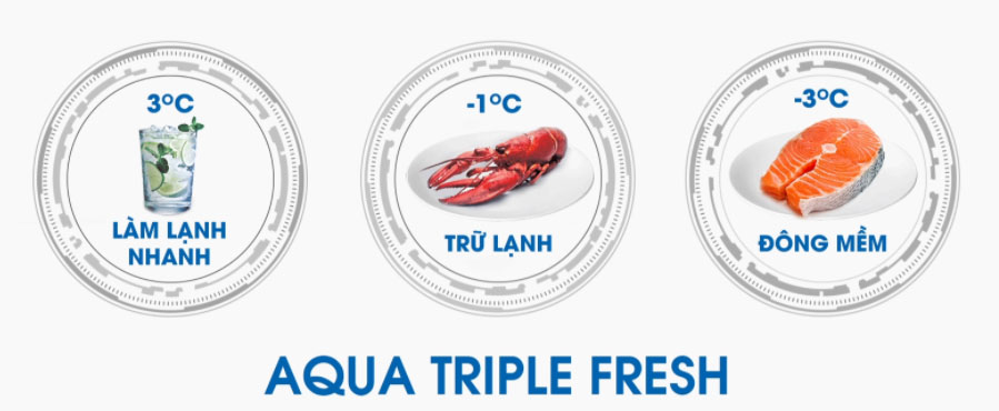 Tủ lạnh Aqua Inverter 318 lít AQR-IG356DN GBN Triple Fresh