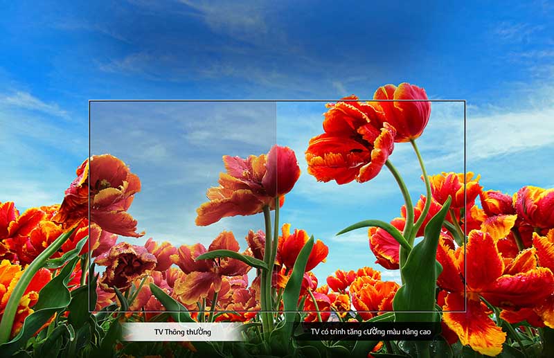 SMART TIVI LG 32 INCH 32LN560BPTA HD - Chính Hãng