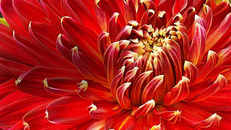 SMART TIVI LG 32 INCH 32LN560BPTA HD - Chính Hãng