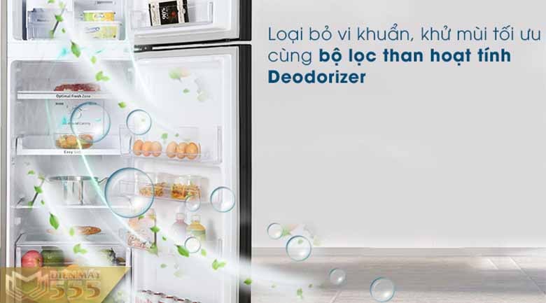 Tủ lạnh Samsung Inverter 256 lít RT25M4032BY/SV - Chính Hãng