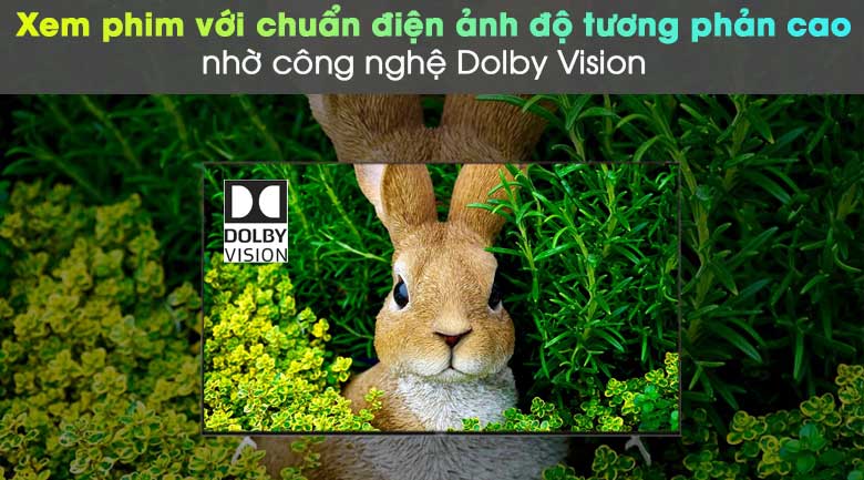 - Công nghệ Dolby Vision trên Android Tivi Sony KD-85X9000H