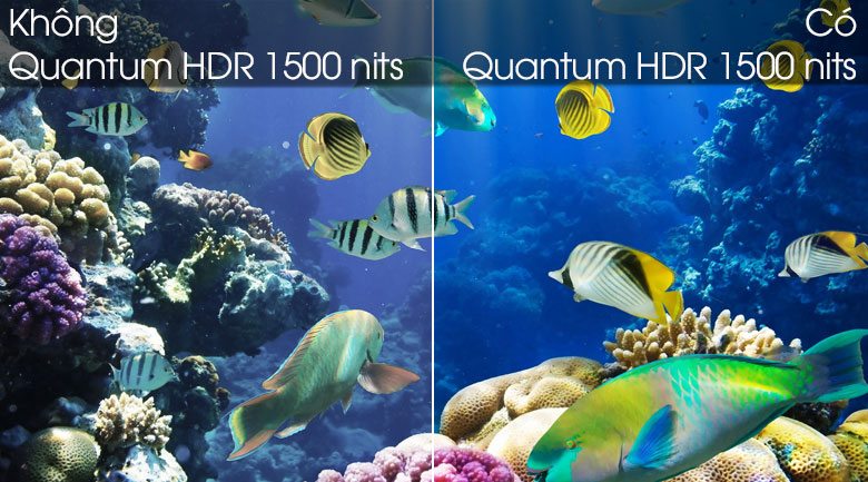 công nghệ Quantum HDR 1500 nits Smart Tivi QLED Samsung 4K 55 inch QA55Q80T