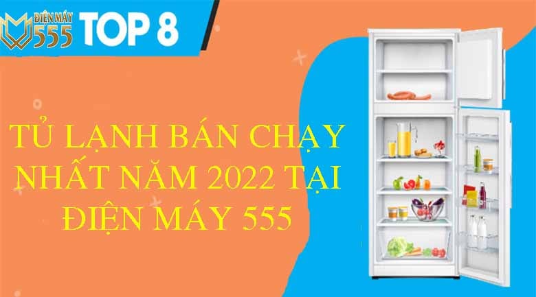 Top 8 tủ lạnh bán chạy nhất năm 2022 tại Điện Máy 555