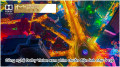 Android Tivi Sony 4K 43 inch KD-43X86J Mới 2021