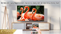 Android Tivi TCL 65T65 4K 65 inch