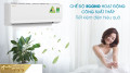 Điều Hòa Daikin 1 Chiều Inverter ATKA35UAVMV