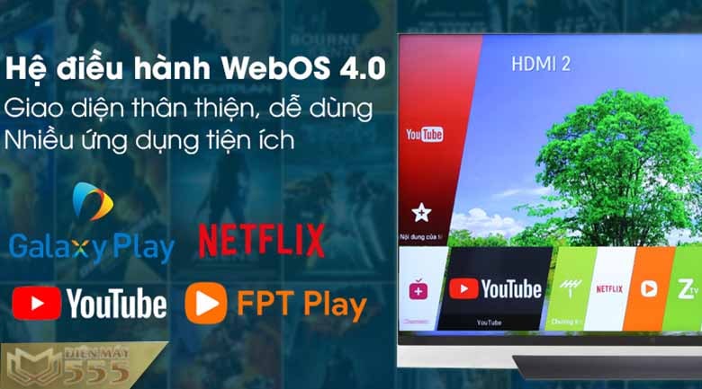 Smart Tivi OLED LG 4K 55 inch 55E8PTA