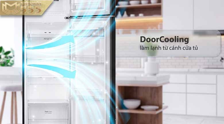 Tủ lạnh LG Inverter 264 lít GV-D262BL