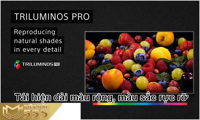 Smart Tivi Sony 4K 65 inch KD-65X7000G